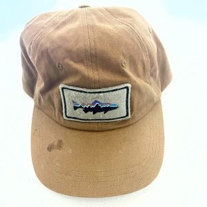 Patagonia Mens Fitz Roy Trout Parch Trad Cap